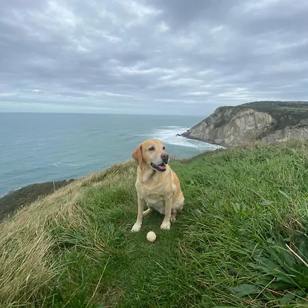 Vistas Al Mar סופלנה