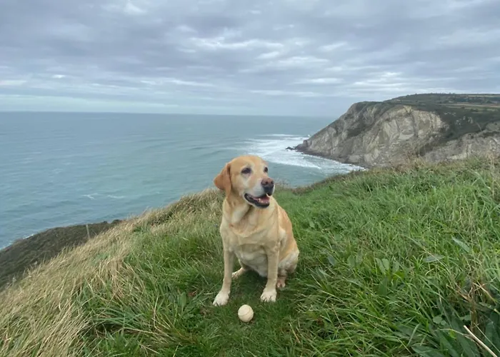 Vistas Al Mar Sopelana
